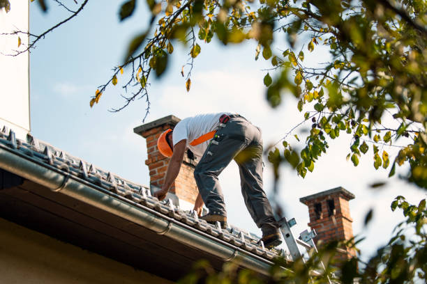 Best Metal Roofing Contractor  in Charlottesville, VA