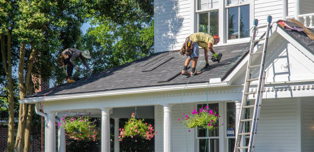 Roof Gutter Cleaning in Charlottesville, VA